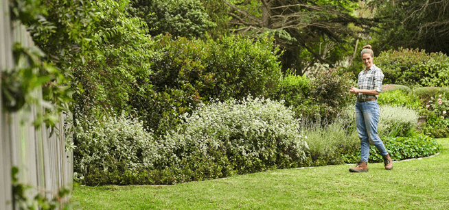 Advies en demonstratie